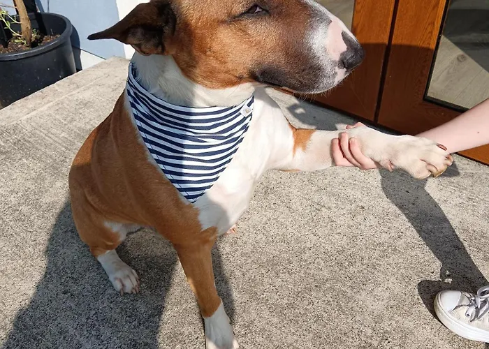 Ferienhaus River Donegal